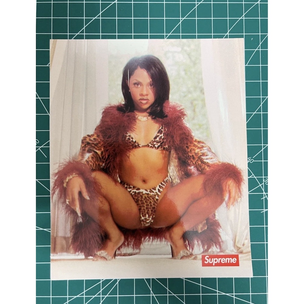 Supreme Photo Sticker Assorted Lot Box Logo 2PC